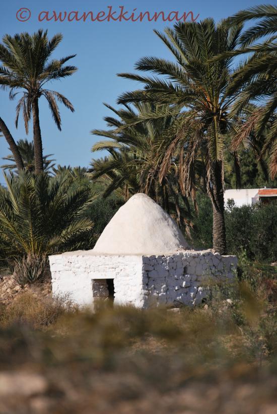 au détour d'un chemin à Djerba Midoun
