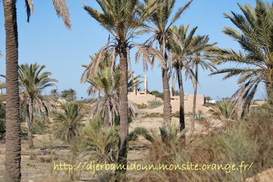 entre la plage et la villa , la campagne de Midoun