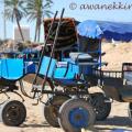 caleches à Djerba