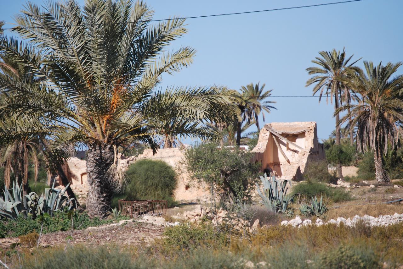 maison de djerba