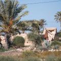 maison de djerba