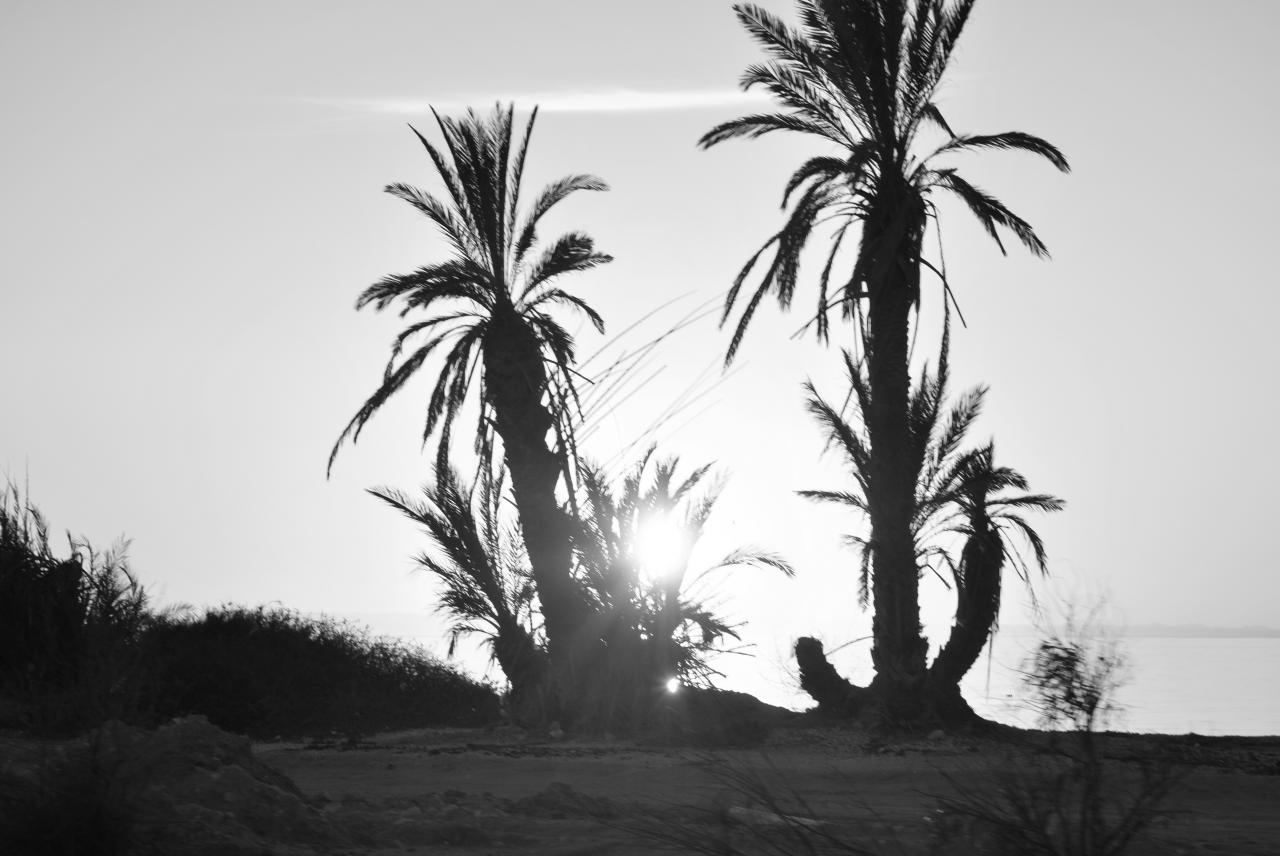 soleil d'argent