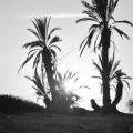 soleil d'argent